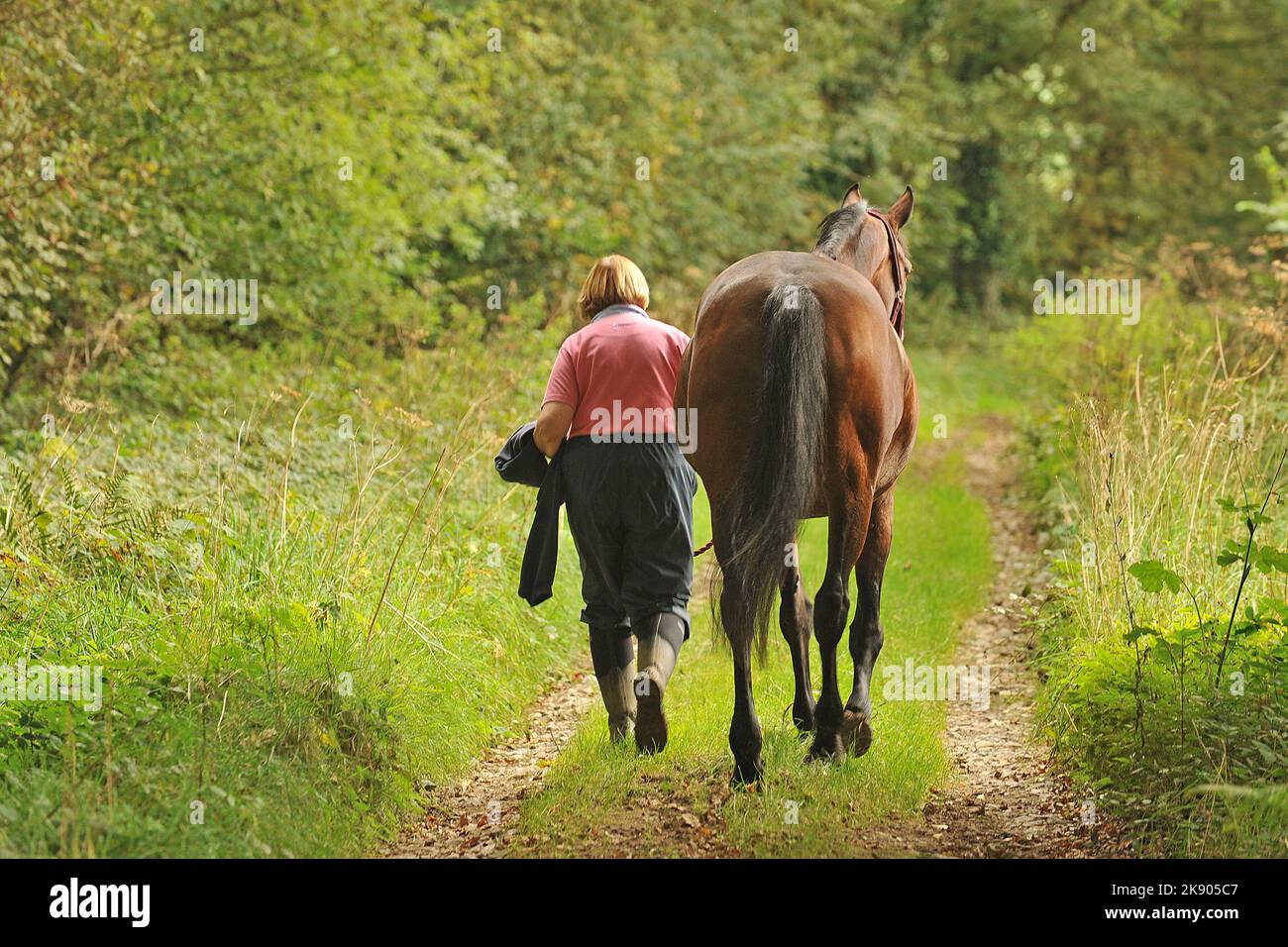 woman leading a horse Stock Photo