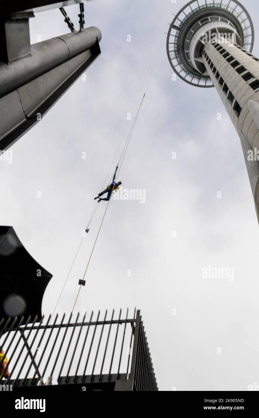 A tourist enjoys the thrill of a sky jump lasting 11 seconds from the Sky Tower, a telecommunications an observation tower in Auckland on North Island Stock Photo