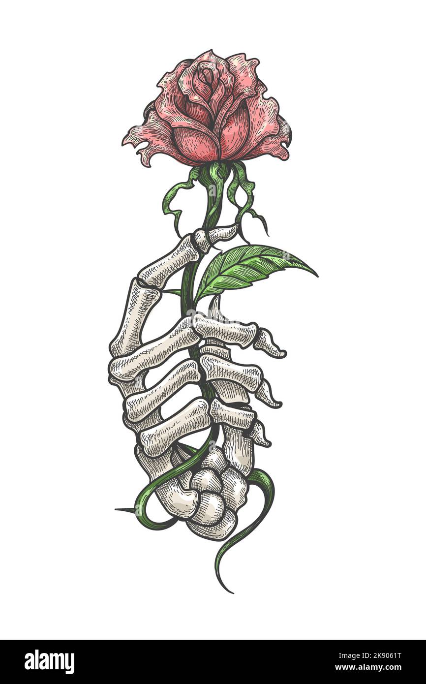 Colorful Tattoo of Skeleton hand holds Rose Flower isolated on white. Vector illustration. Stock Vector