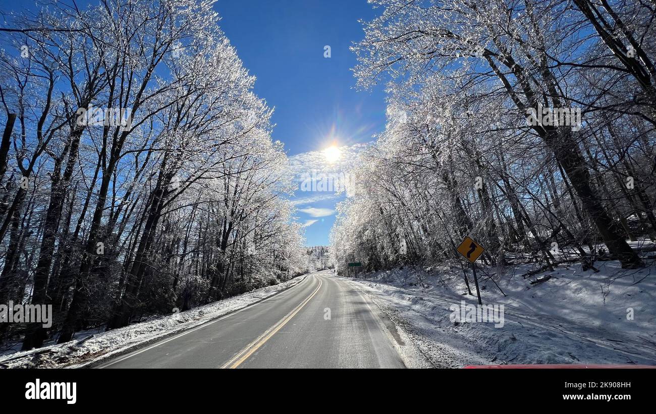 A scenic view of an asphalt road through the forest with leafless trees ...