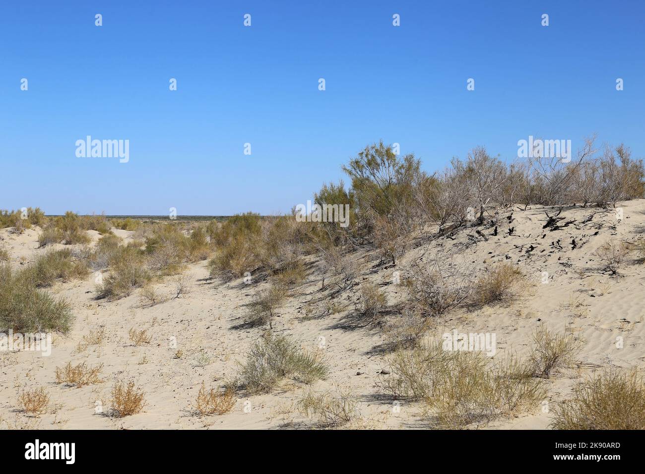 Aralkum Desert, once part of the Aral Sea, Moynaq, Karakalpakstan Autonomous Republic, Uzbekistan, Central Asia Stock Photo