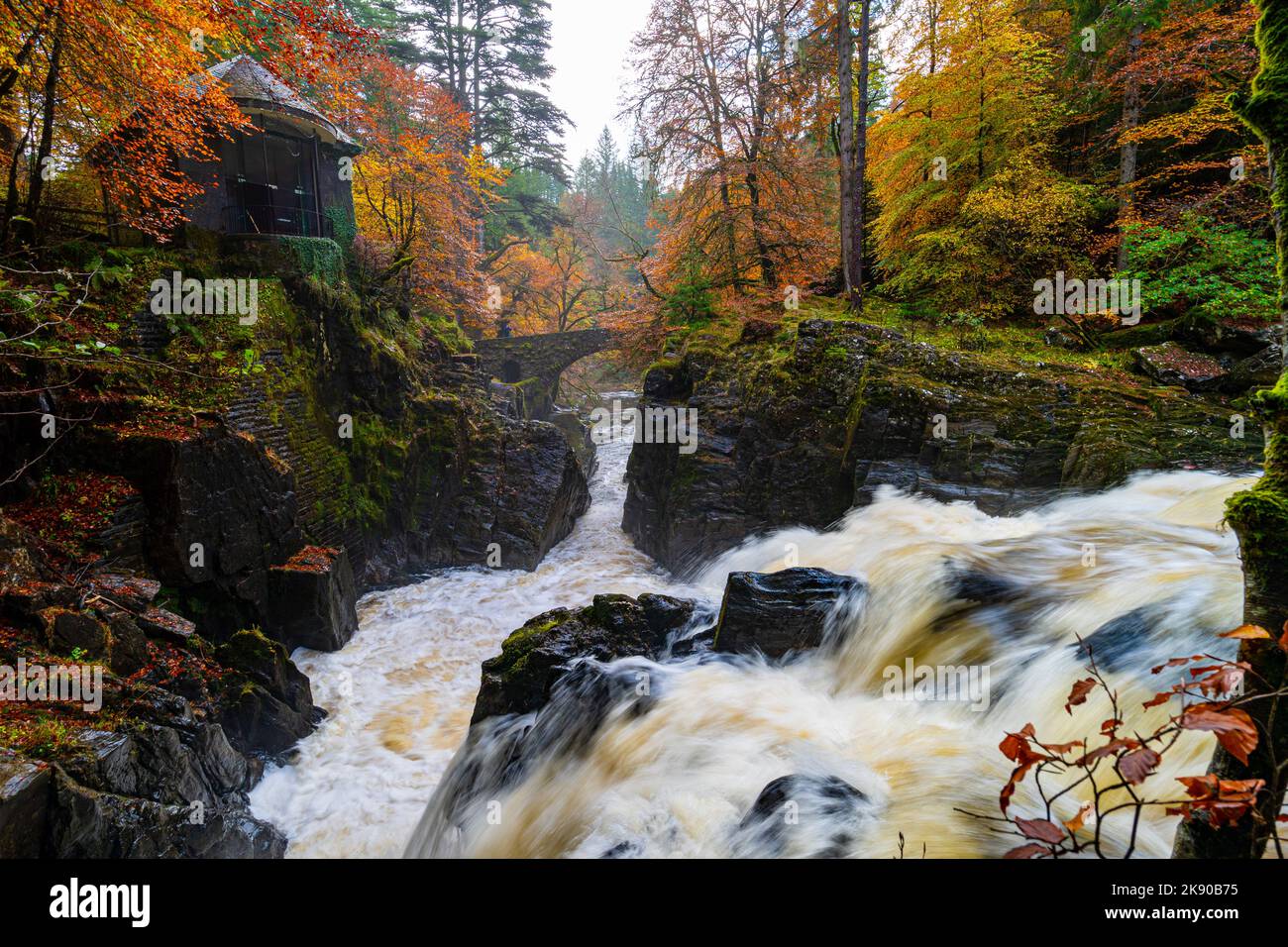 Dunkeld, Scotland, UK. 25th October 2022. Views of spectacular autumn colours in woodland beside the River Braan at Black Linn Falls at The Hermitage outside Dunkeld in Perthshire.  Pic; Ossians Hall stands above the Falls of Braan. Iain Masterton/Alamy Live News Stock Photo