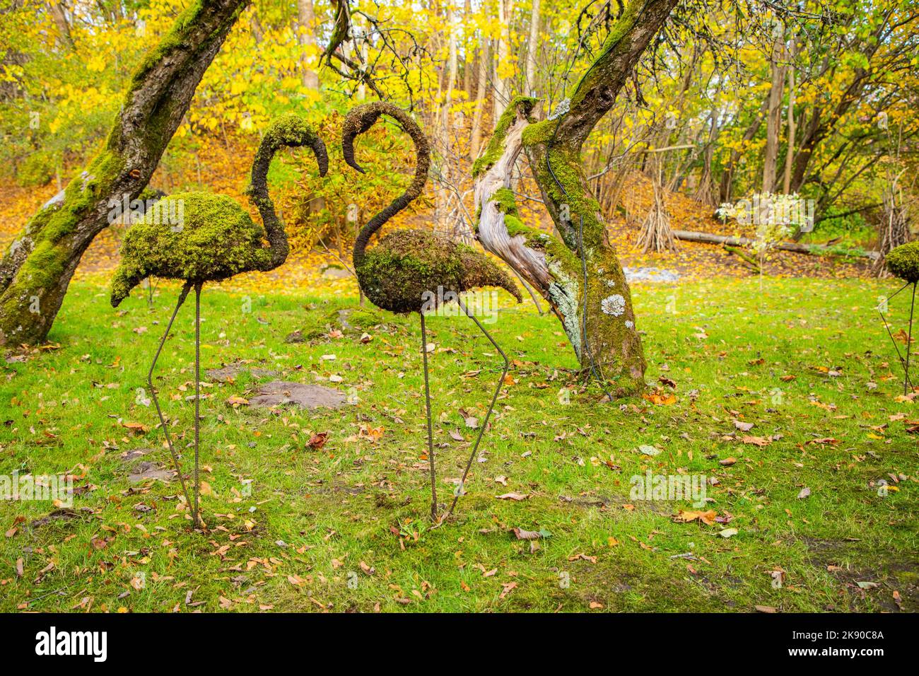 Flamingo topiary hi-res stock photography and images - Alamy