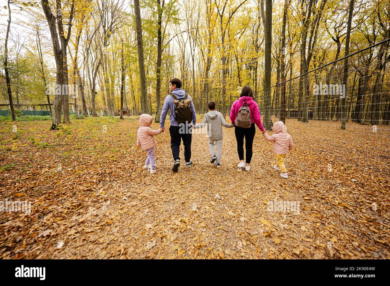 Back of family with kids on a walk in autumn forest Stock Photo - Alamy
