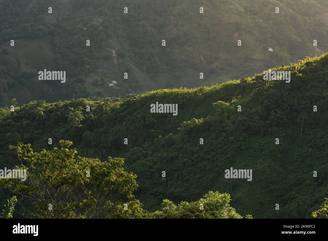 Quinchia hi-res stock photography and images - Alamy
