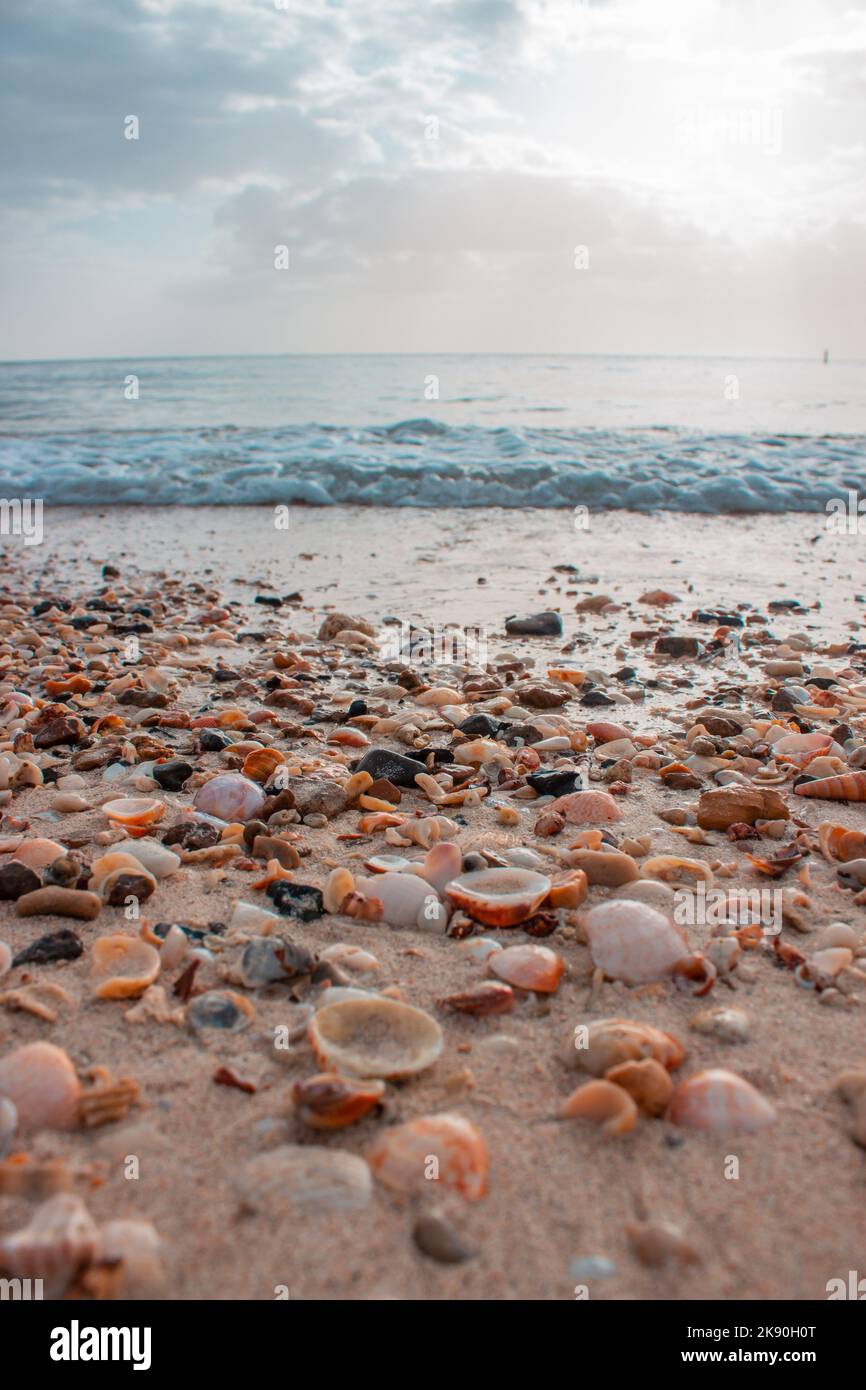 A vertical shot of seashells on the beach in Puerto Rico Stock Photo ...