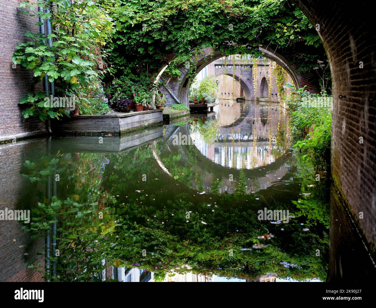 Reflective Rivers A scenic view of a reflective river with arches covered with climbing ...