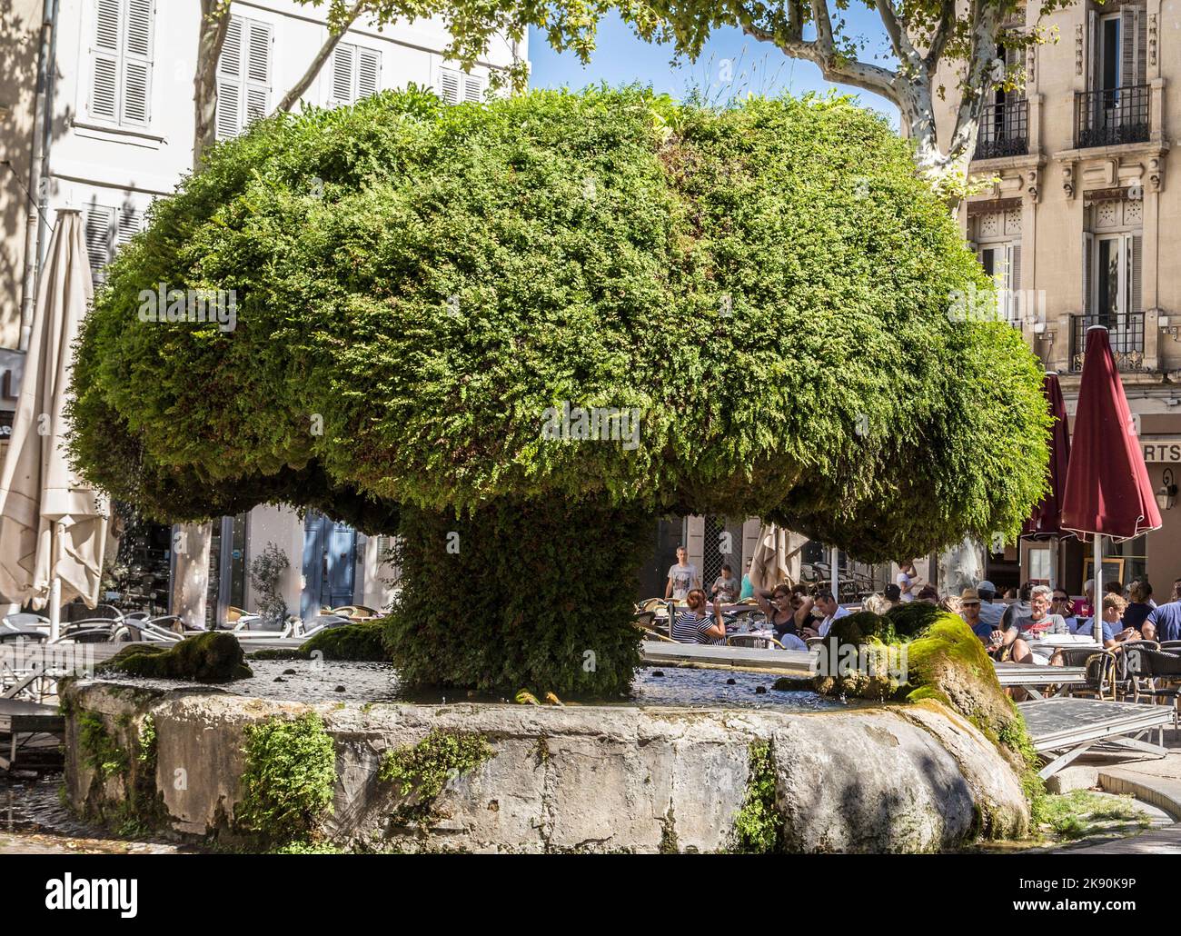 SALON DE PROVENCE, FRANCE AUG 21, 2016 people at the famous with green covered plants