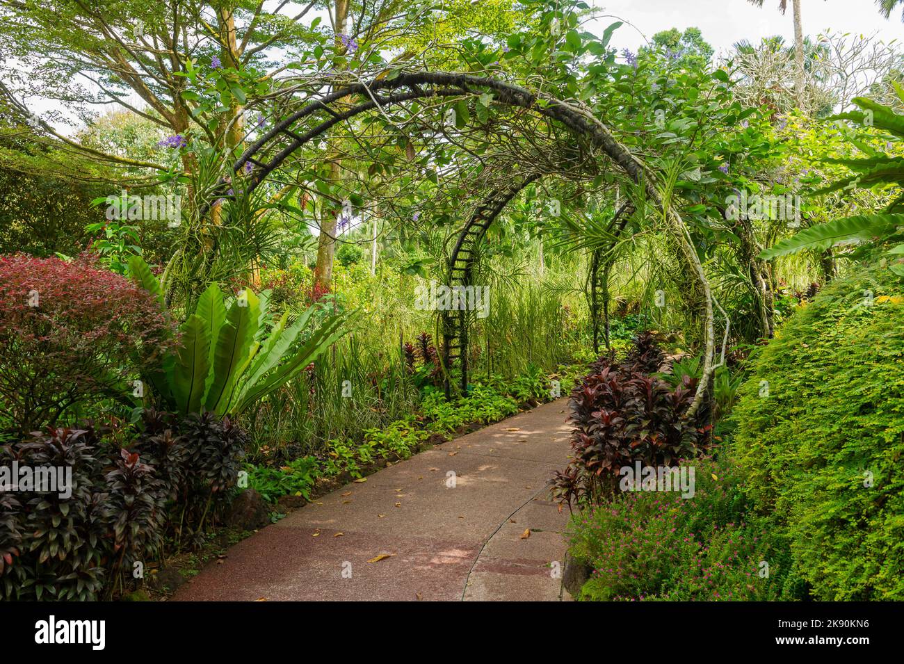 A Trellis at the Singapore National Orchid Garden Stock Photo Alamy