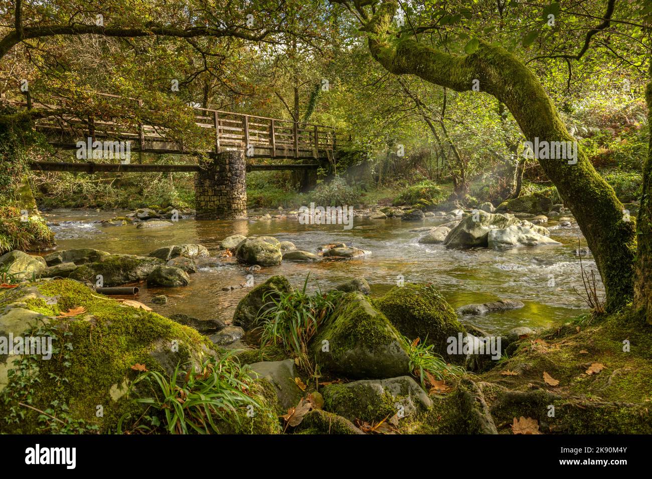The River Tavy, Dartmoor, Devon, England. Tuesday 25th October 2022. On a day of sunshine and heavy showers, the sun breaks through the trees along the River Tavy on the edge of Dartmoor National Park in Devon. Credit: Terry Mathews/Alamy Live News Stock Photo