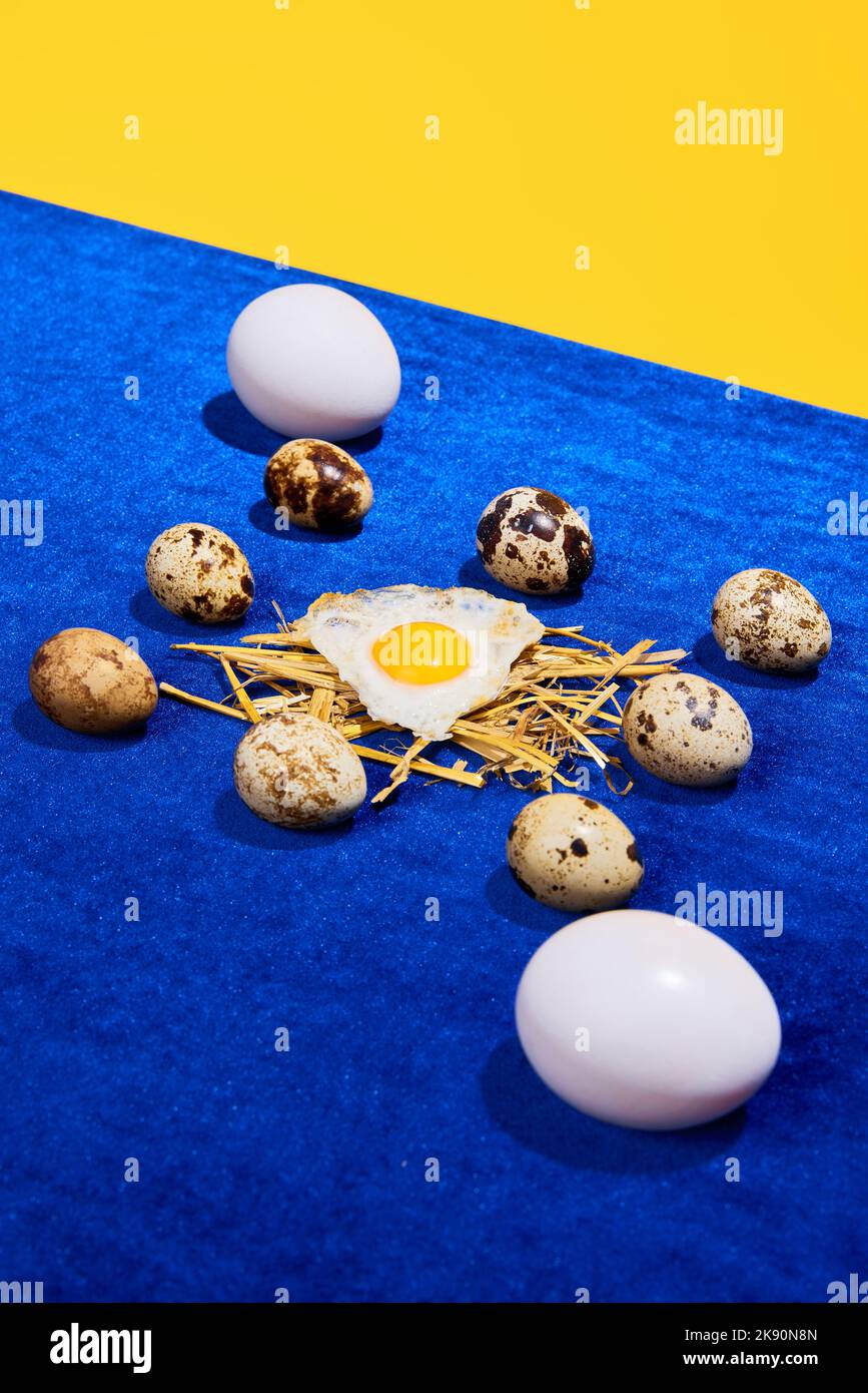 Food pop art photography. Composition with quail and chicken eggs on bright blue tablecloth isolated on yellow background. Retro style, colorful Stock Photo