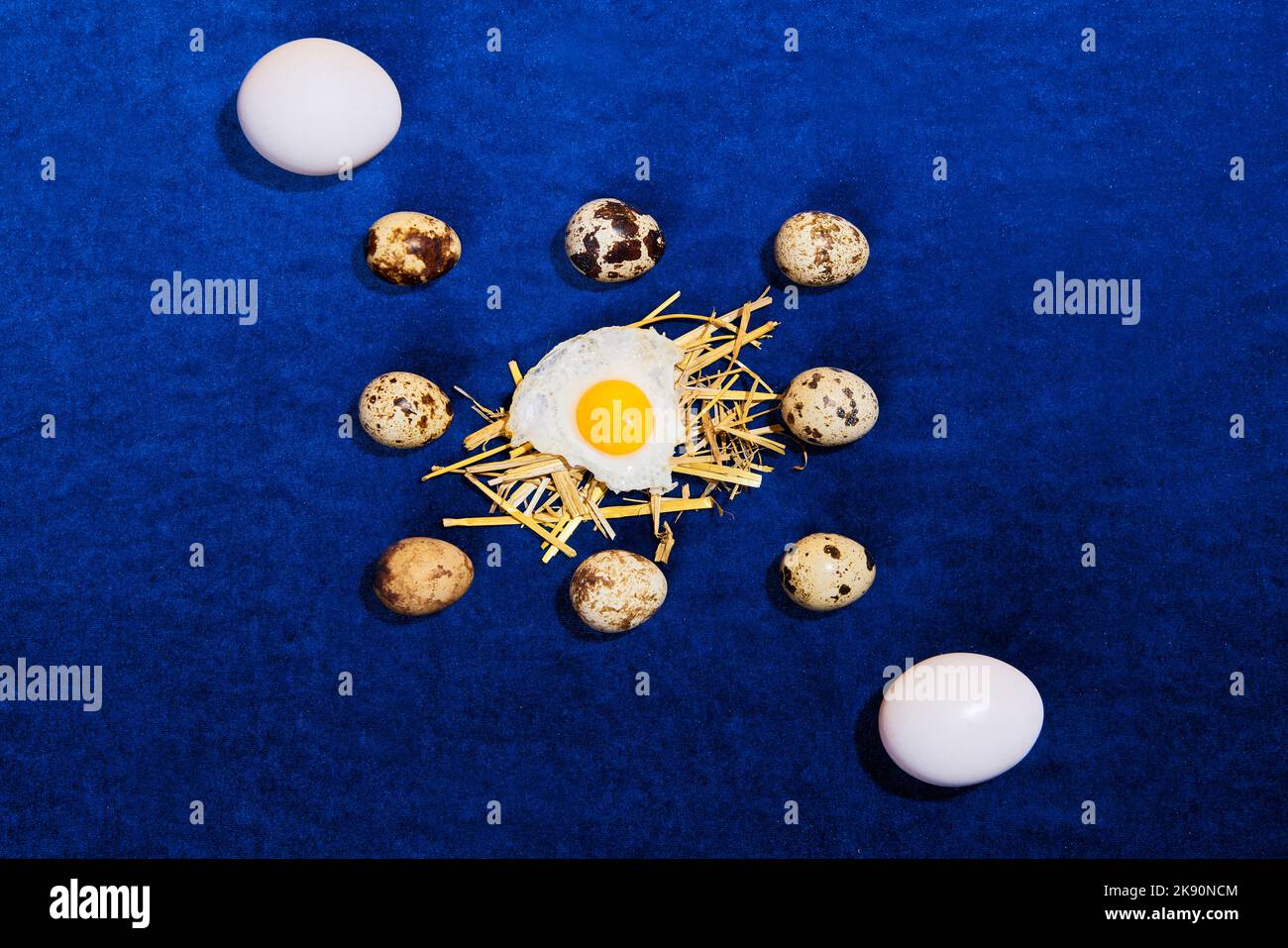 Food pop art photography. Composition with quail and chicken eggs on bright blue tablecloth. Retro style, colorful minimalism, art, creativity Stock Photo