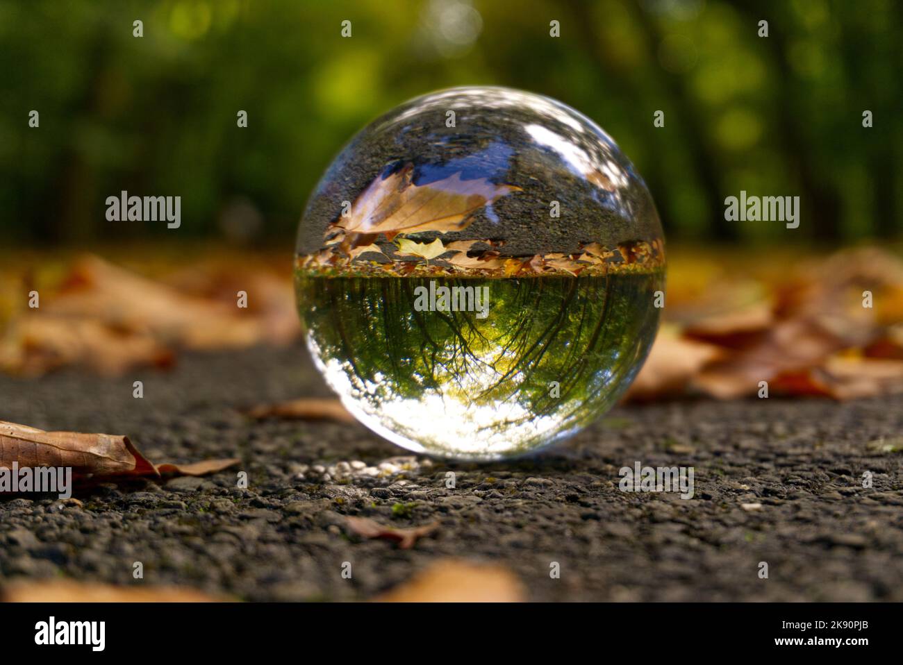 A closeup shot of a clear reflective glass ball on a path reflecting a ...