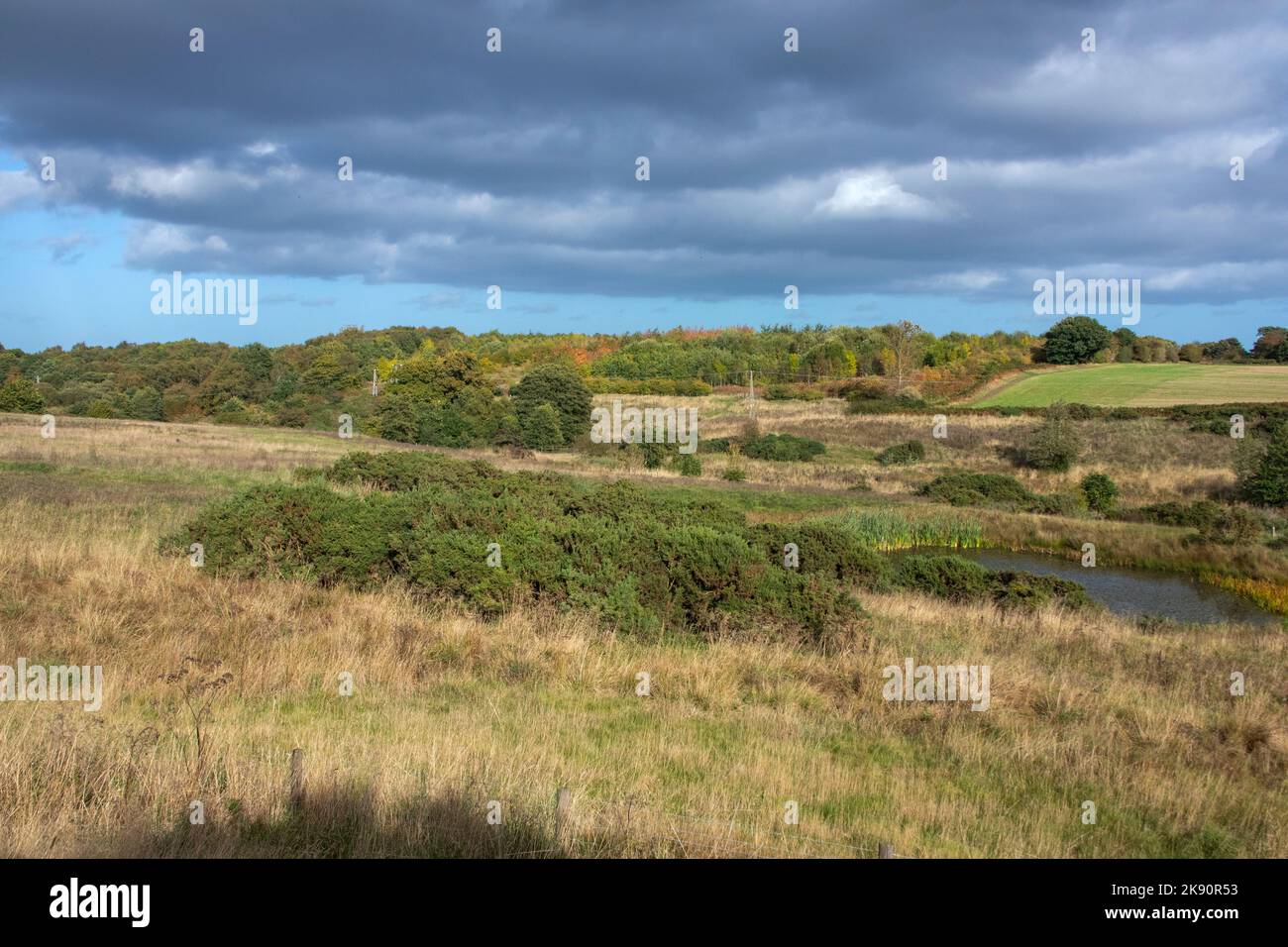 View across Daisy Hill Nature Reserve in autumn sunshine Stock Photo