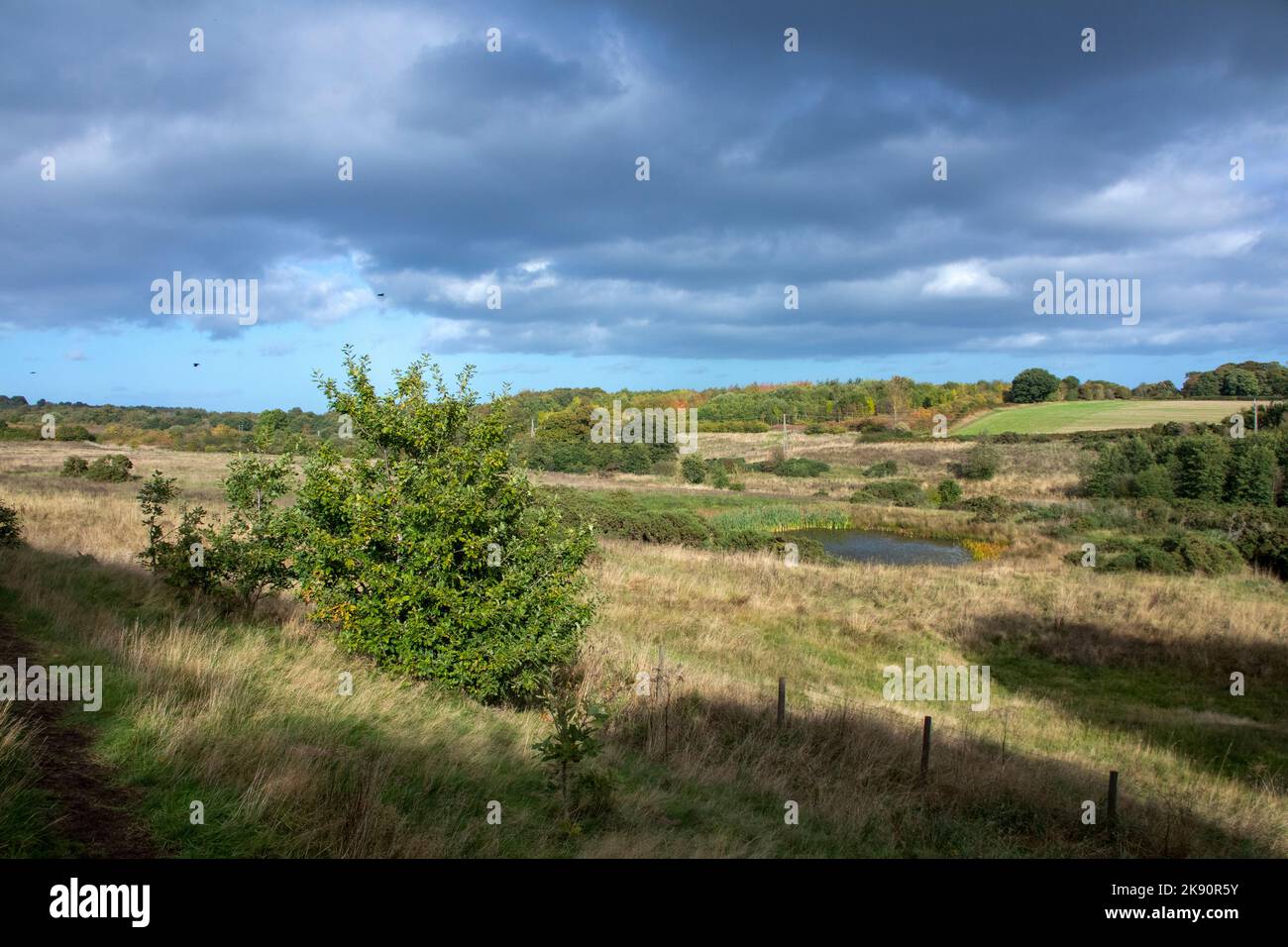 View across Daisy Hill Nature Reserve in autumn sunshine Stock Photo