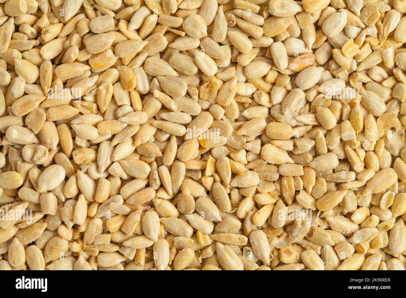 Large Pile Of Sunflower Seeds Background Texture. Stock Photo