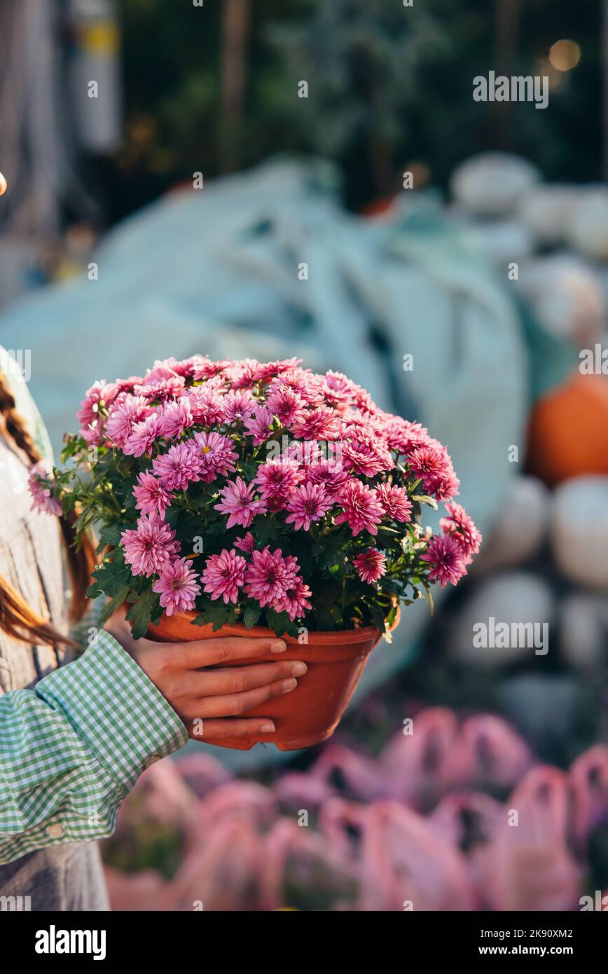 Woman holding decorative flower in flower pot on the market. Stock Photo