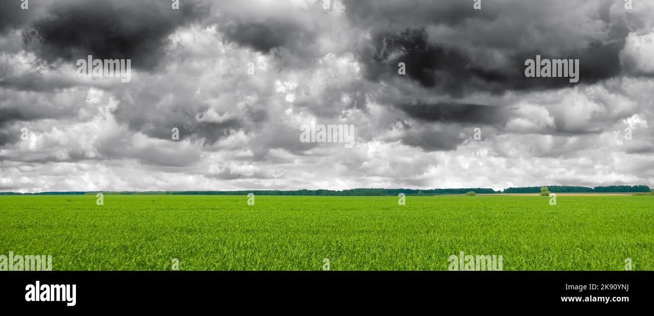Field and stormy clouds. Photo of dark sky and fresh green grass Stock Photo