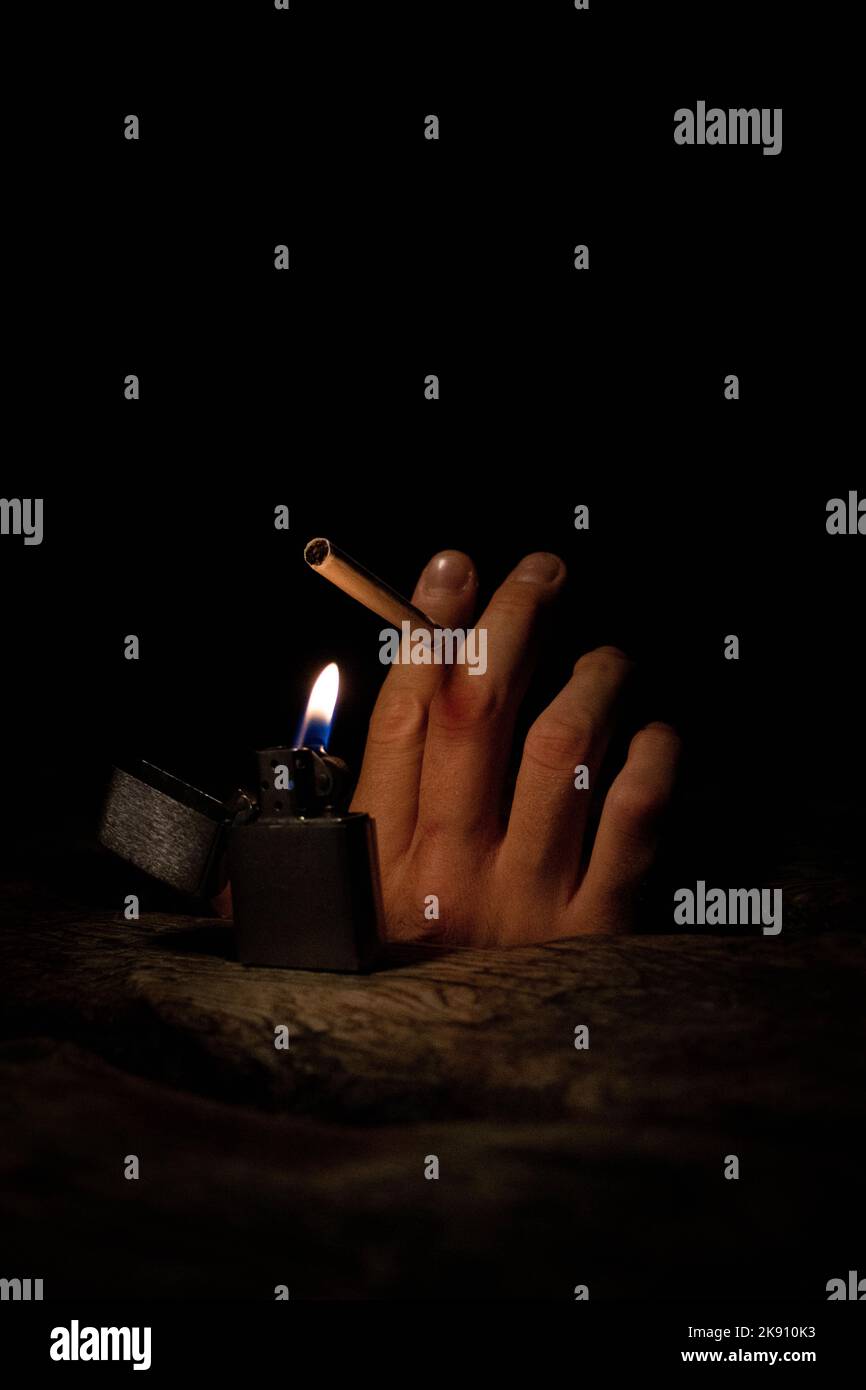 cigarette under microscope bugs Information about Tobacco Pests, all you need to know
