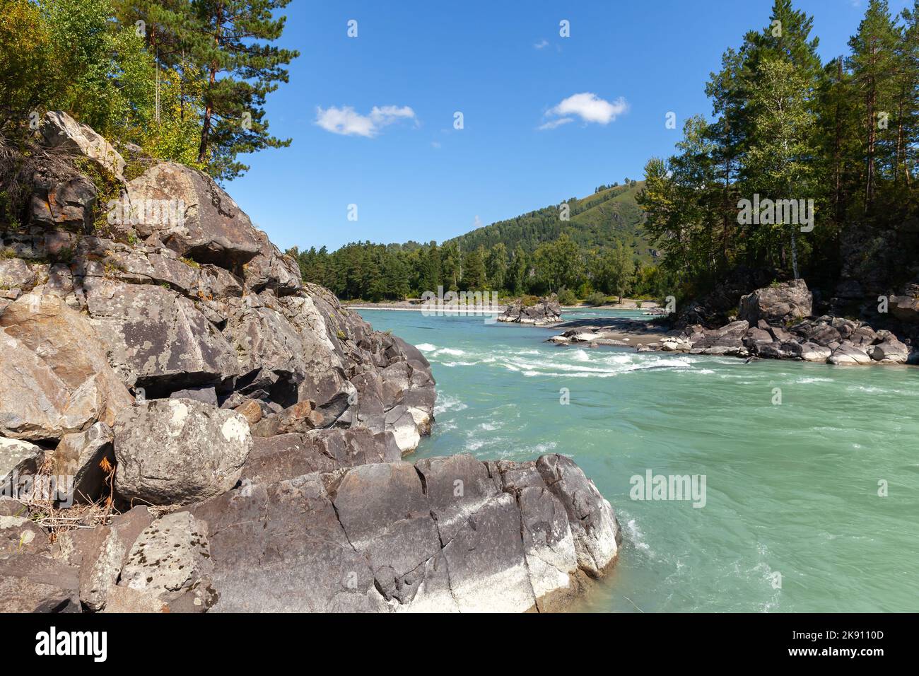 Katun river, landscape photo taken on a sunny summer day. Altai Republic, Russia Stock Photo