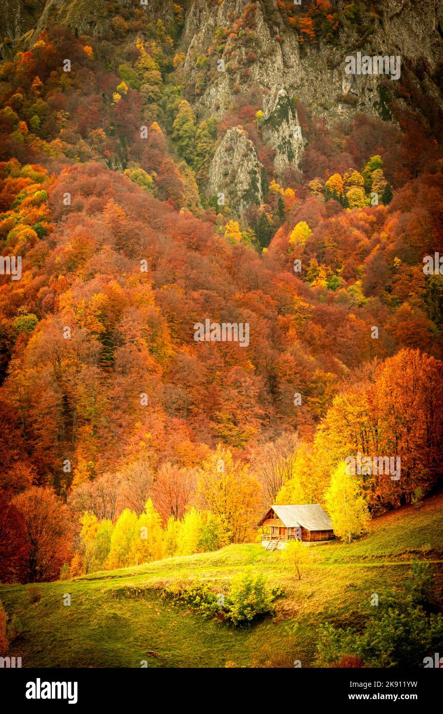 Autumn in Buila Vanturarita National Park, Carpathian Mountains, Romania. Patrunsa hermitage surrounded by vivid fall colors of the forest. Stock Photo