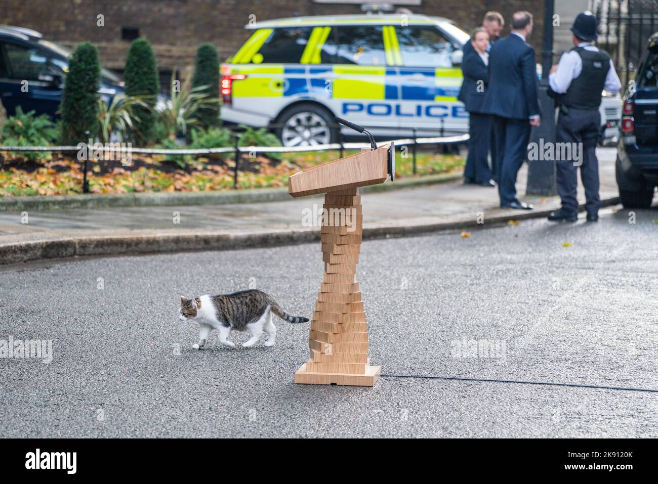 London UK. 25 October 2022 . Larry the office cat walks past