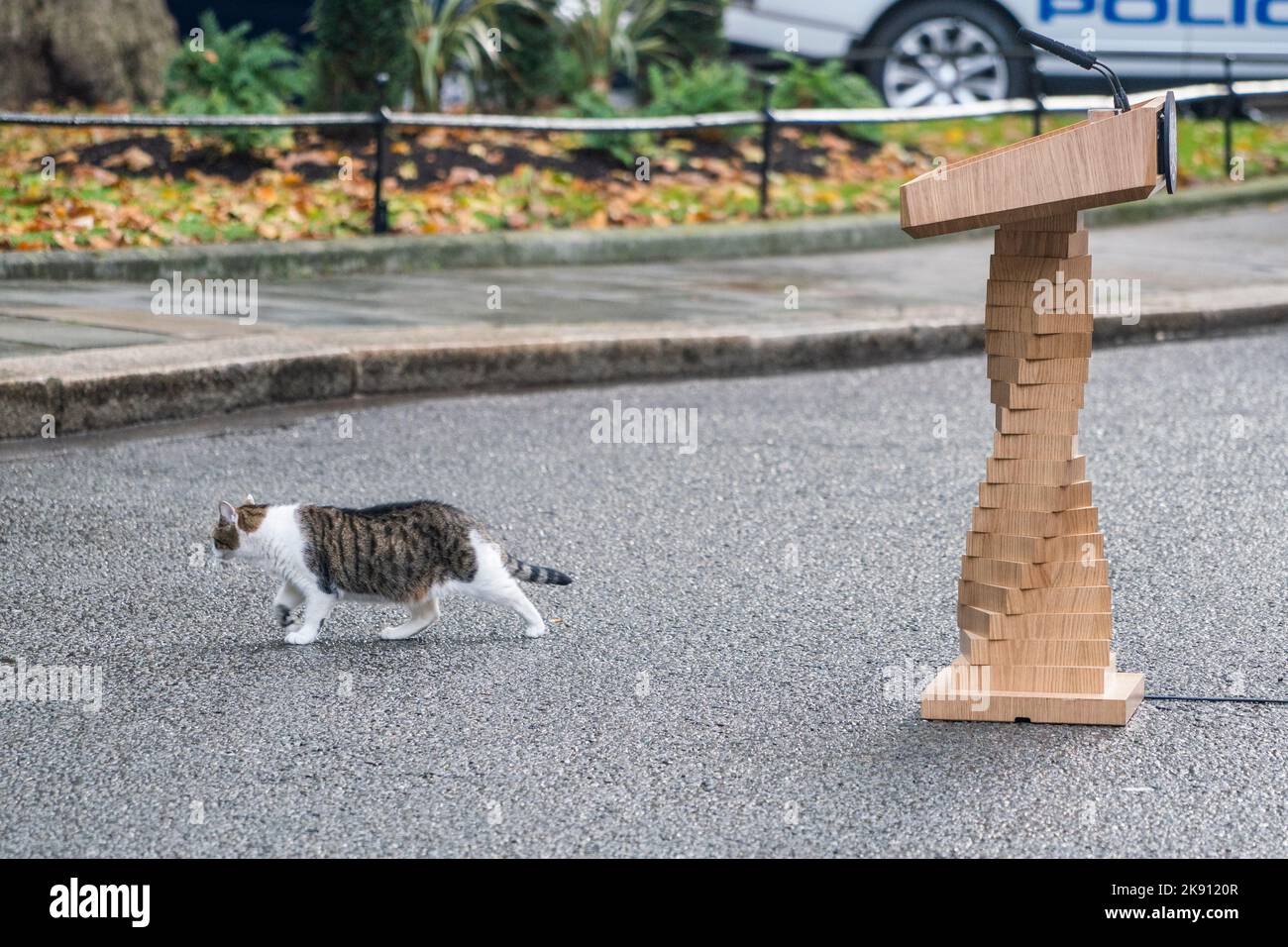 London UK. 25 October 2022 . Larry the office cat walks past