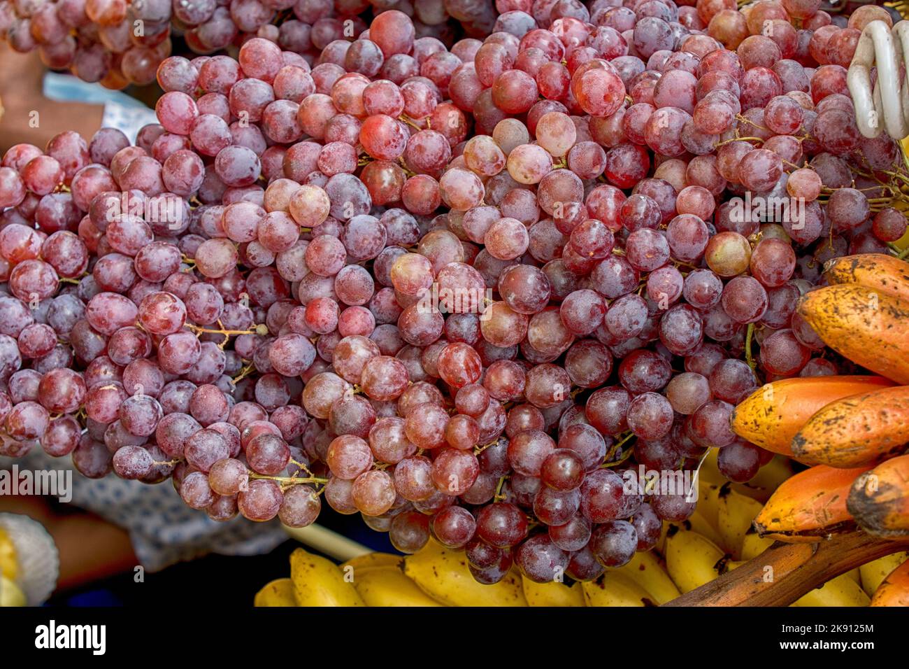 Fruits of Sri Lanka Stock Photo Alamy