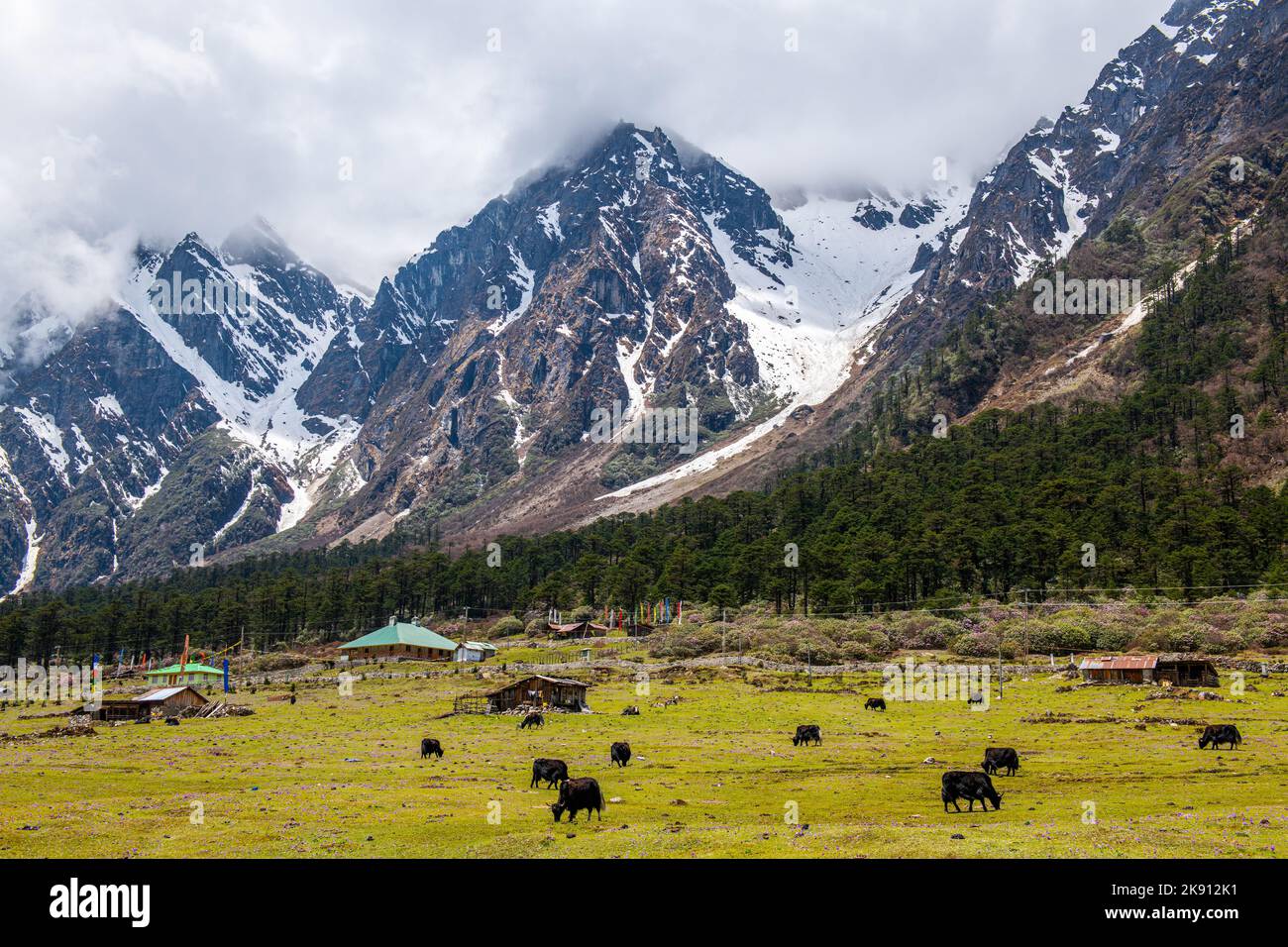 The beautiful snowy mountains in the Yumesamdong valley with fluffy clouds over Stock Photo