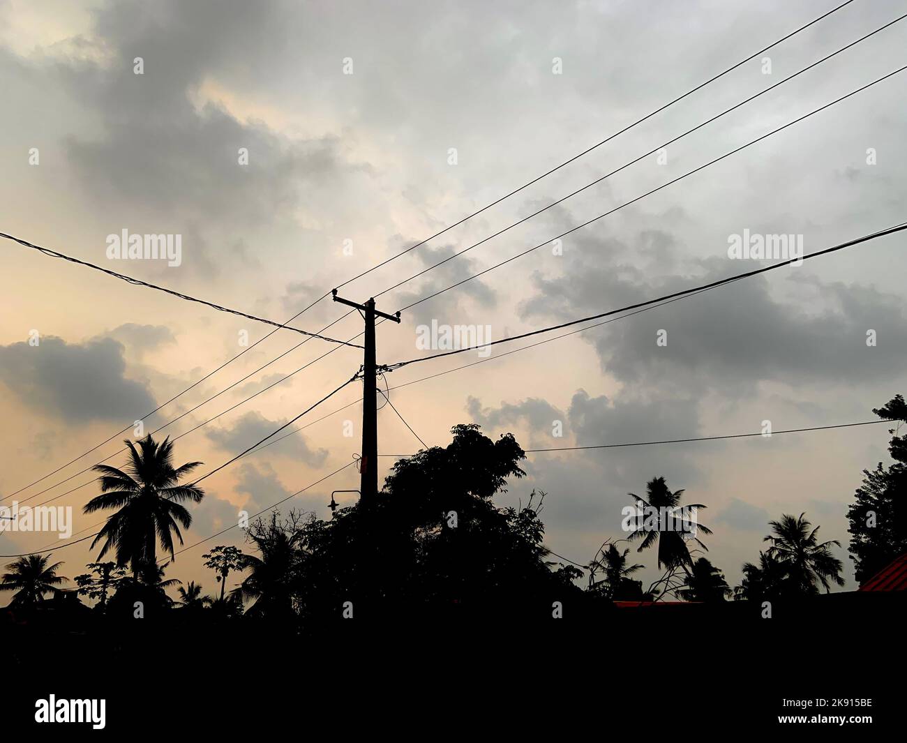 Beautiful shot tree silhouettes hi-res stock photography and images - Alamy