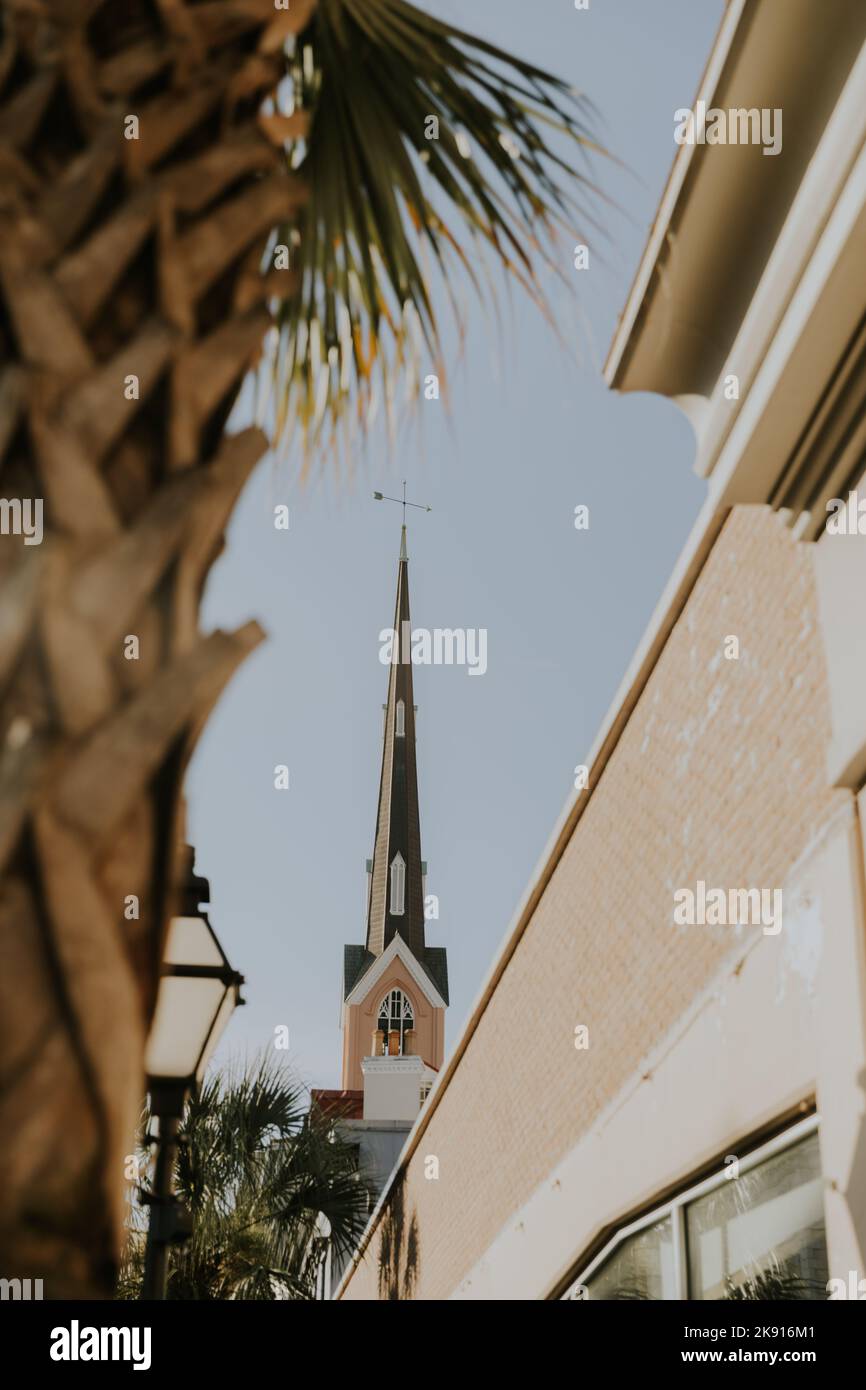 A vertical shot of a church dome behind buildings and palms Stock Photo ...
