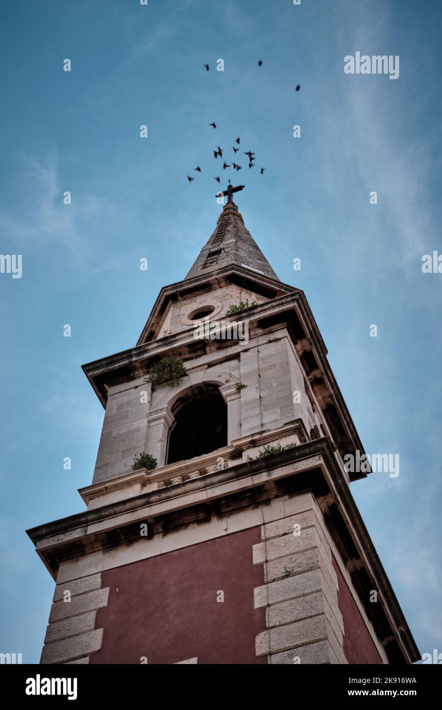 The bell tower of the monastery of St. Francis of Assisi in the old town of Zadar in Croatia surrounded by birds Stock Photo