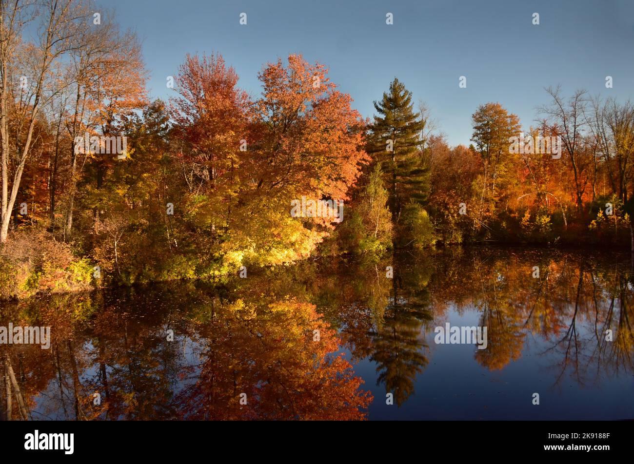 Fall Colour  in Trees and Leaves by a Lake in New England, US Stock Photo