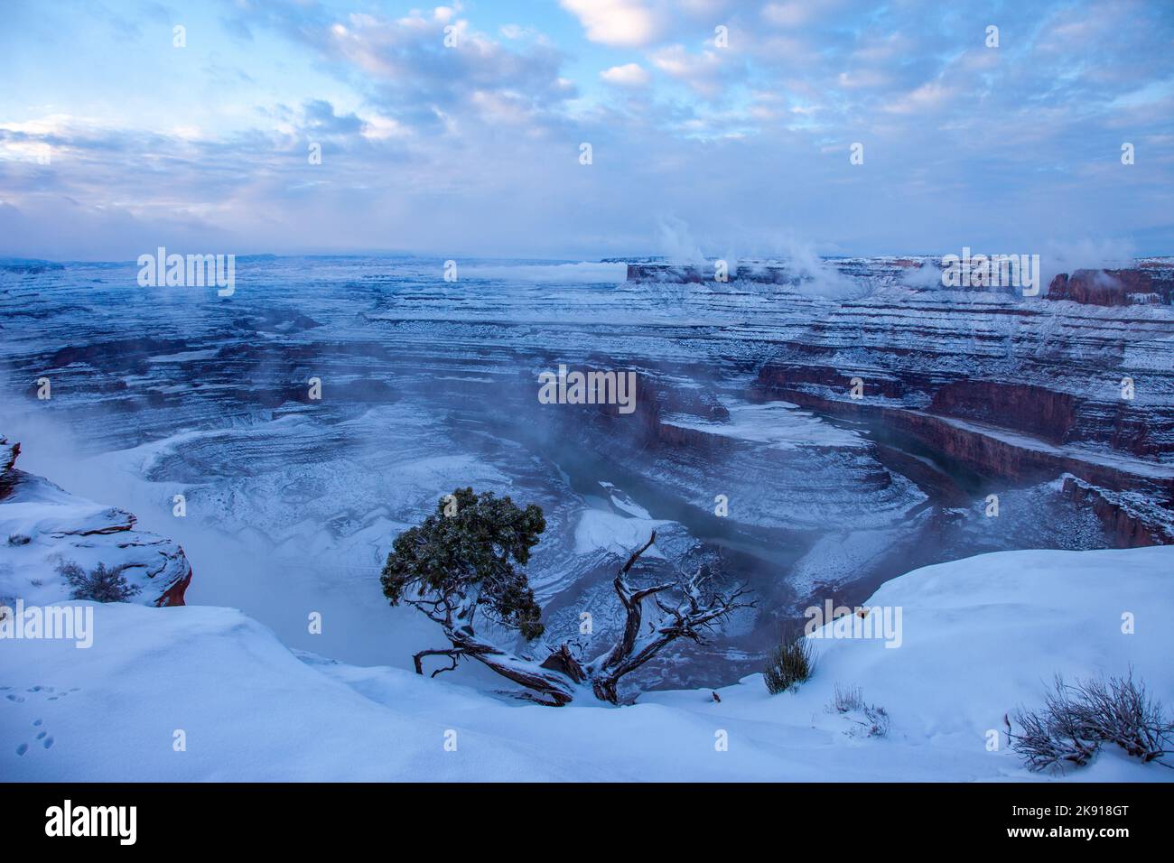 Foggy winter view of the Goose Neck of the Colorado River from Dead