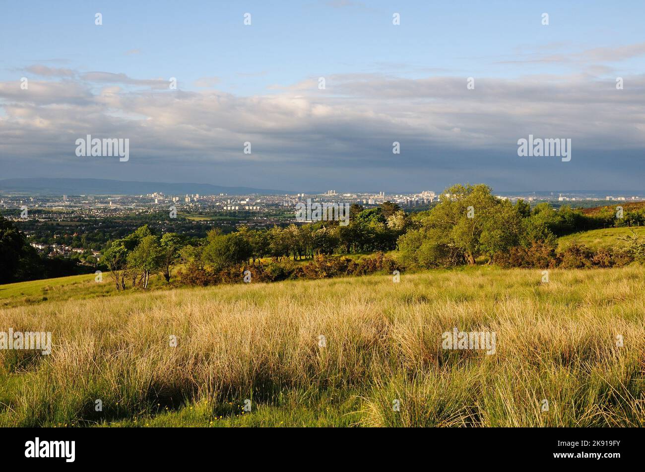 A landscape of a beautiful green hillside at a warm sunlight in Glasgow