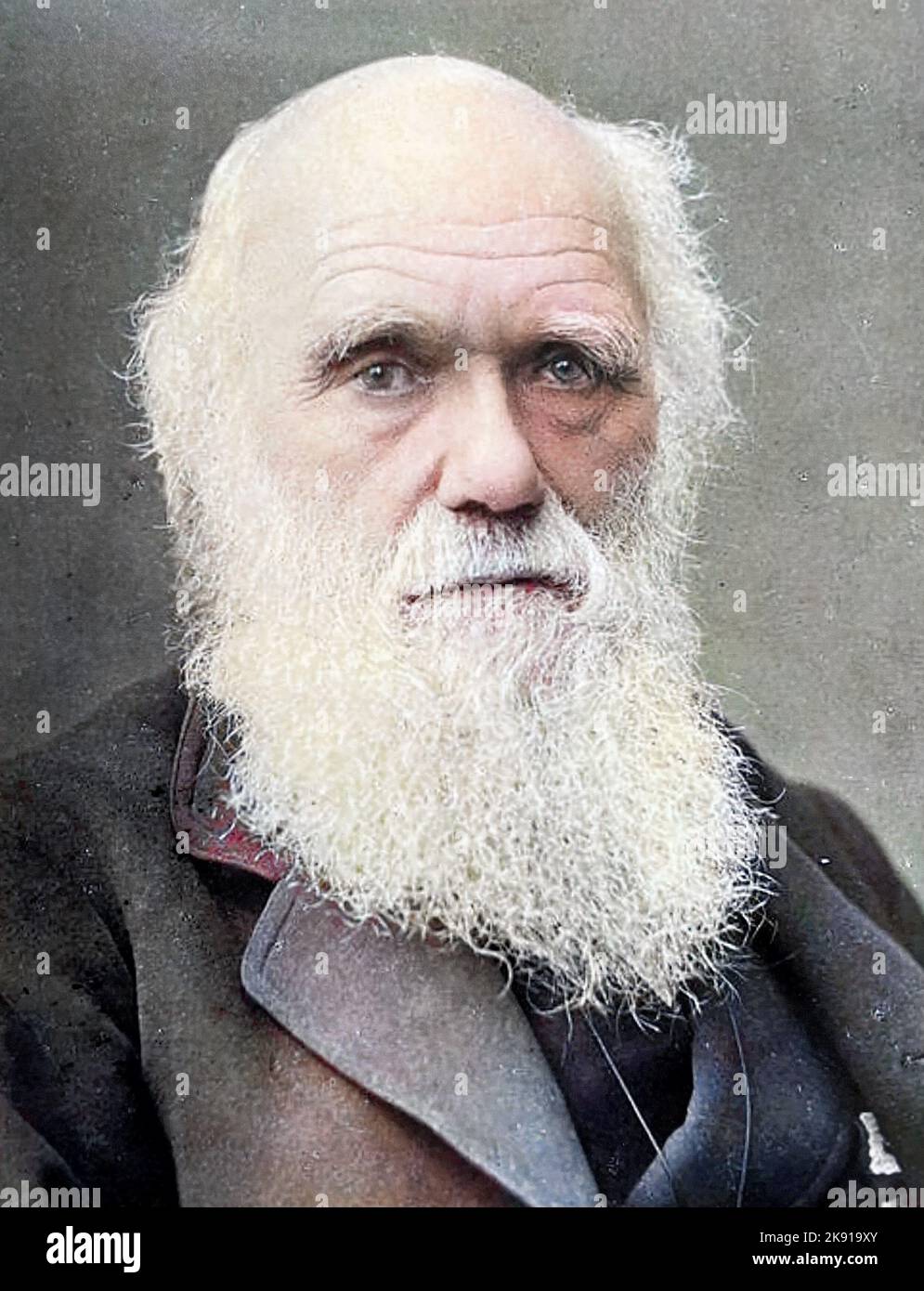 CHARLES DARWIN (18091882) English naturalist and biologist about 1868 Stock Photo Alamy