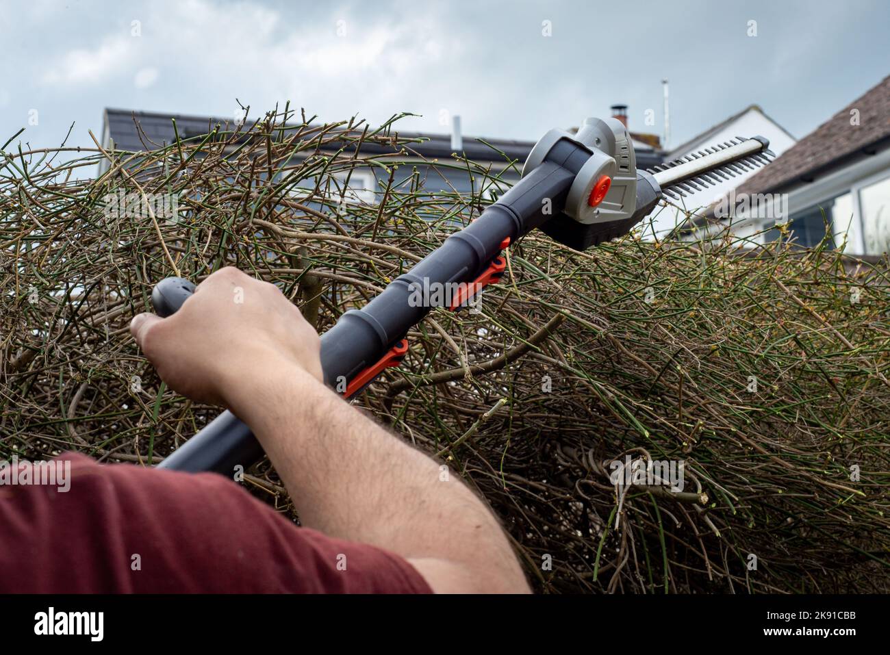Man's arm holding battery powered hedge trimmers to clip branches and leaves from overgrown hedge. Stock Photo