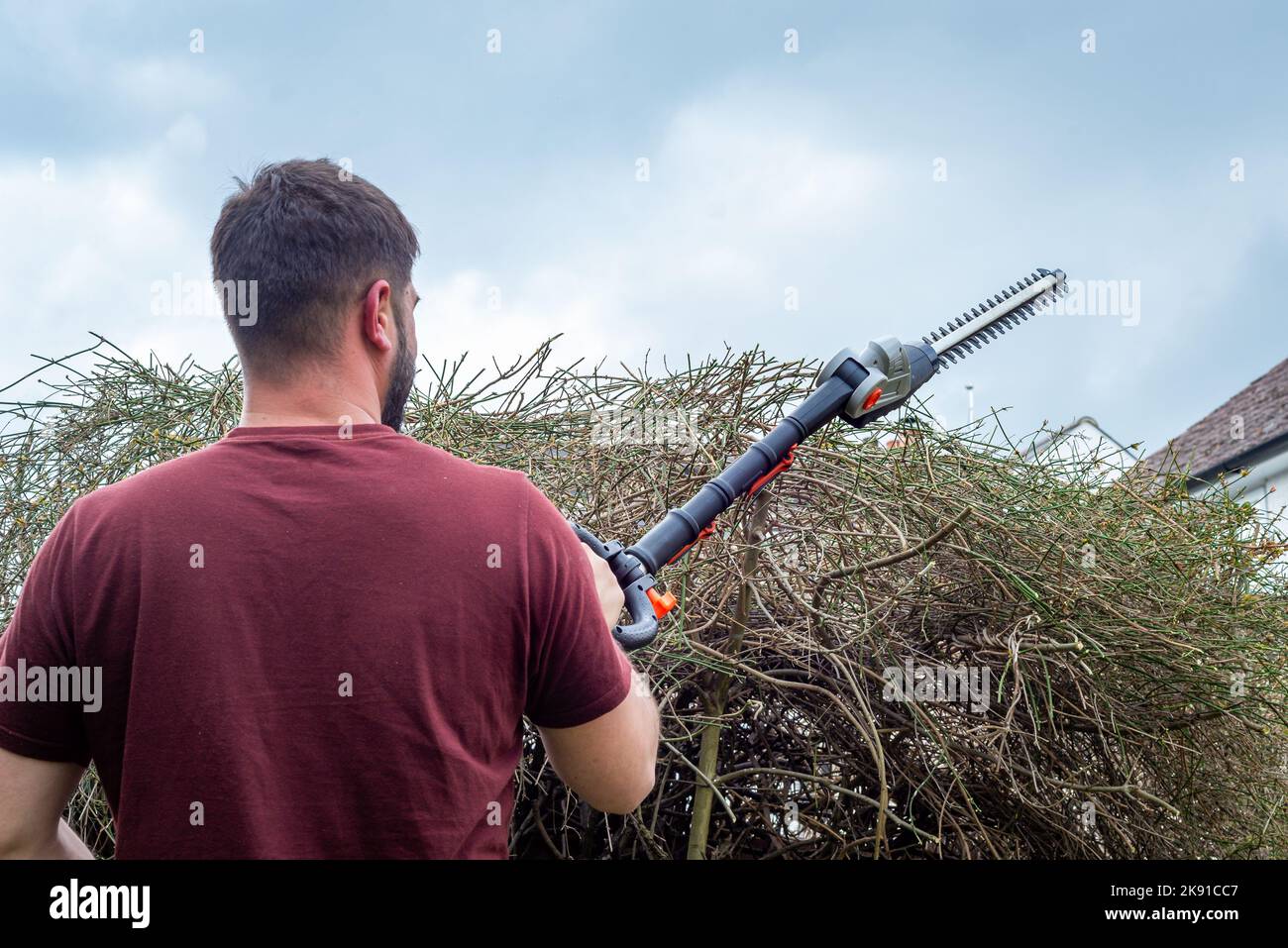 Male gardener using long hedge trimmers to cut overgrown branches from hedge in back yard garden. Stock Photo