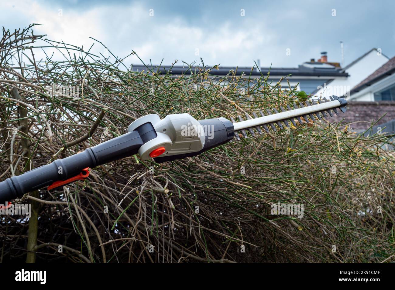 Close up of battery powered hedge clippers with sharp blades in front of hedge in backyard
