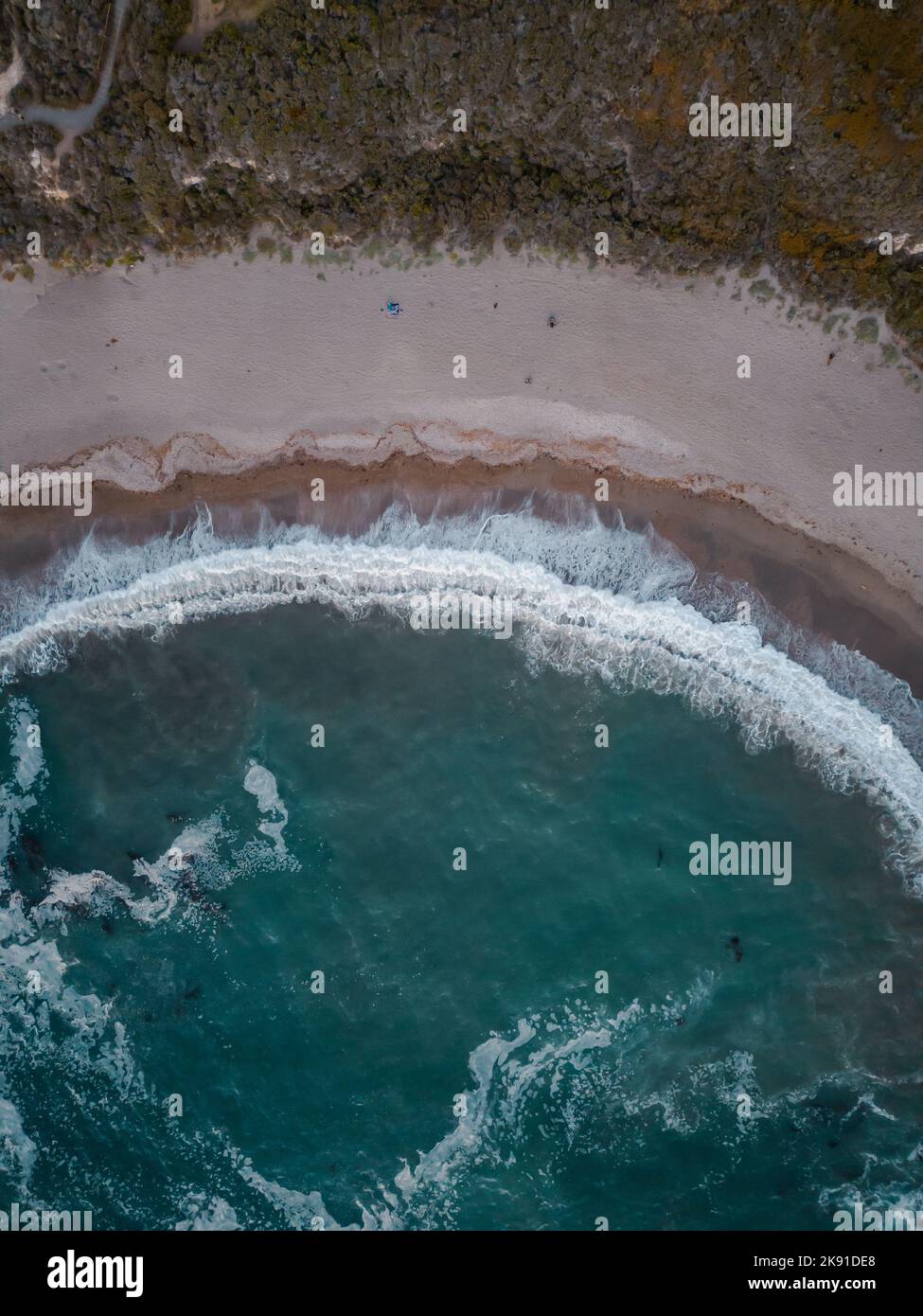 an aerial view of Spooners Cove beach in California Stock Photo Alamy