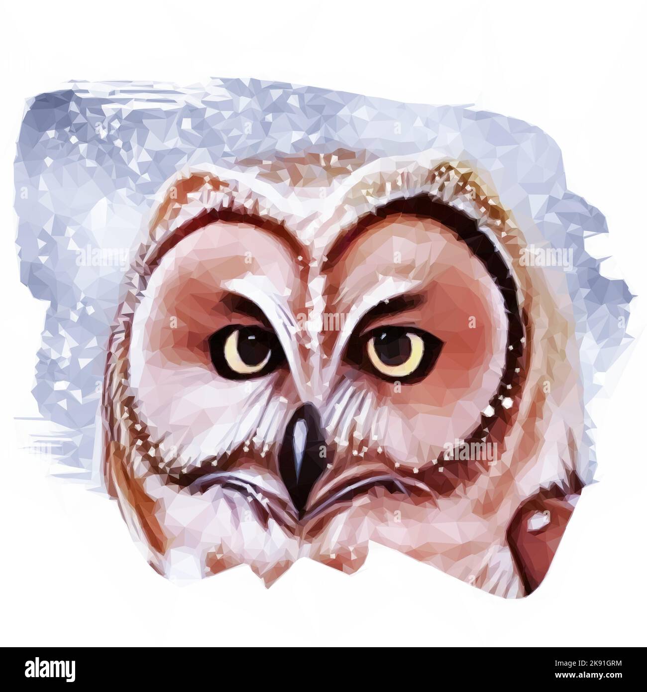 Illustration of an owl in winter. Portrait shows snowflakes in the feathers. Vector in low poly style. Stock Vector