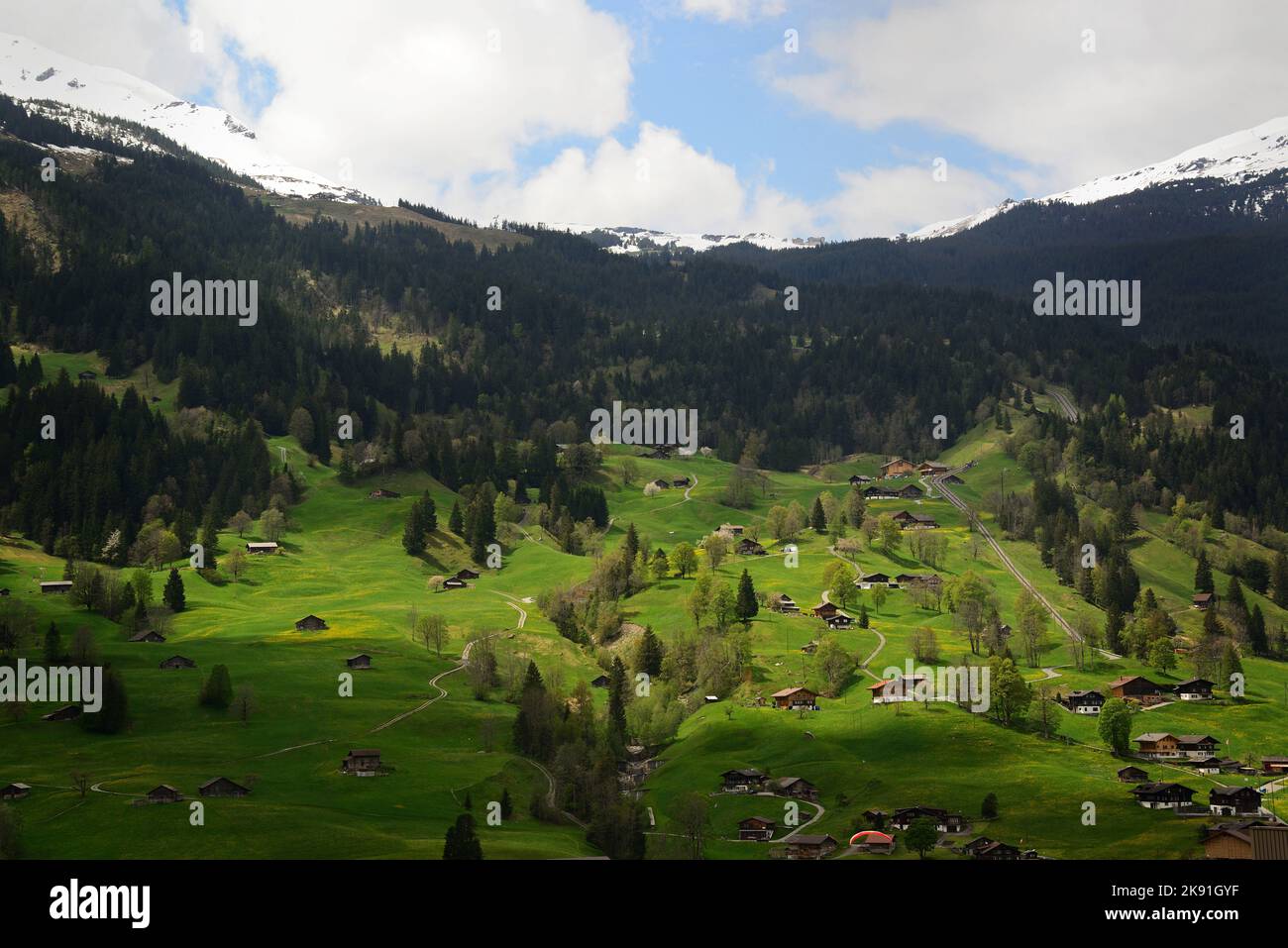 An aerial view of rural houses in the Swiss Alps covered with green ...