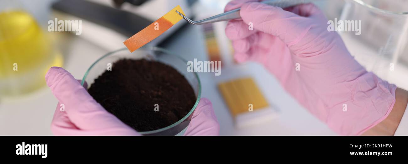 Researcher hold small glass flask with soil, performing ph test strip Stock Photo