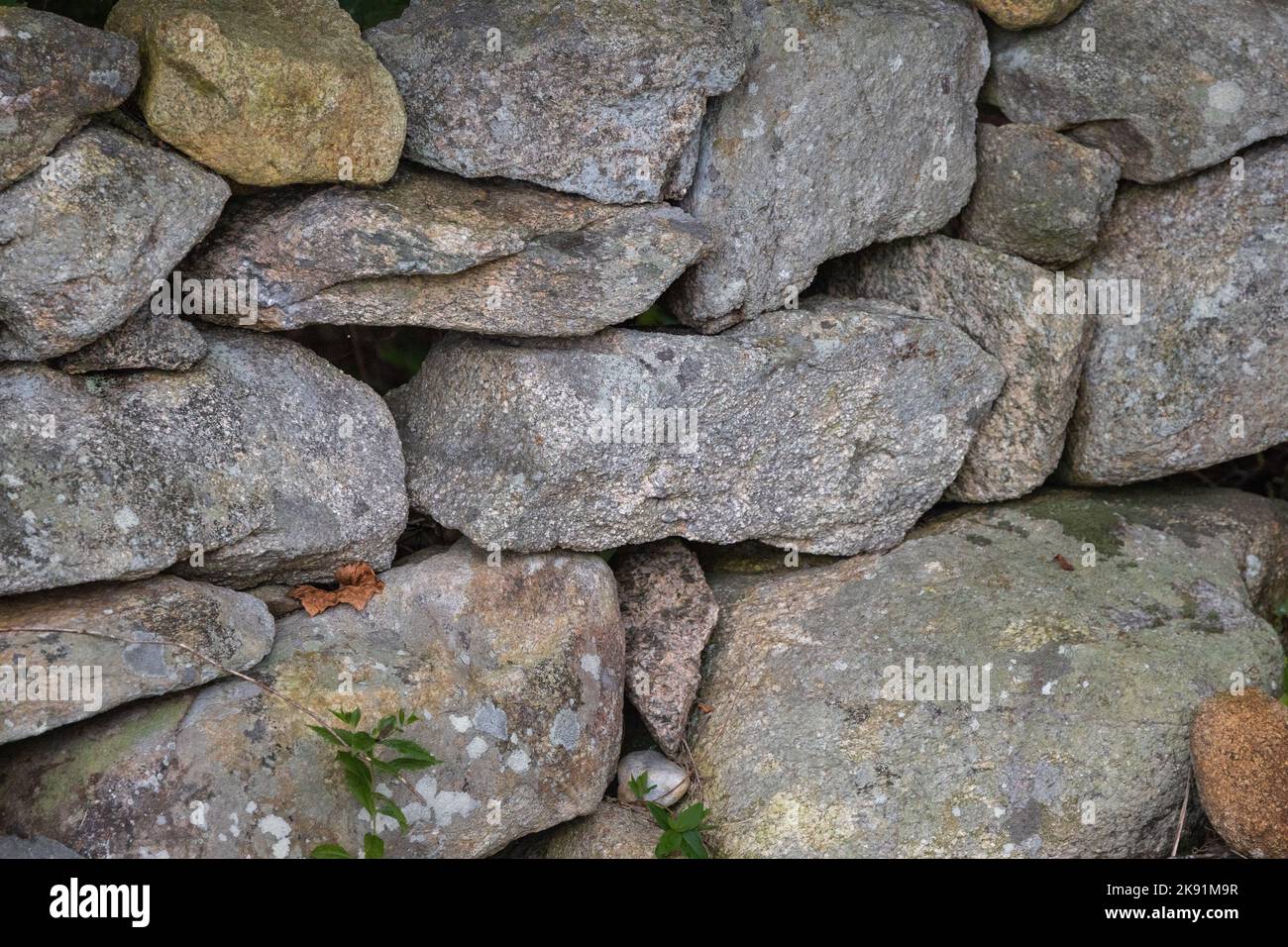 An old stone wall in the field on Marthas Vineyard, New England Stock ...