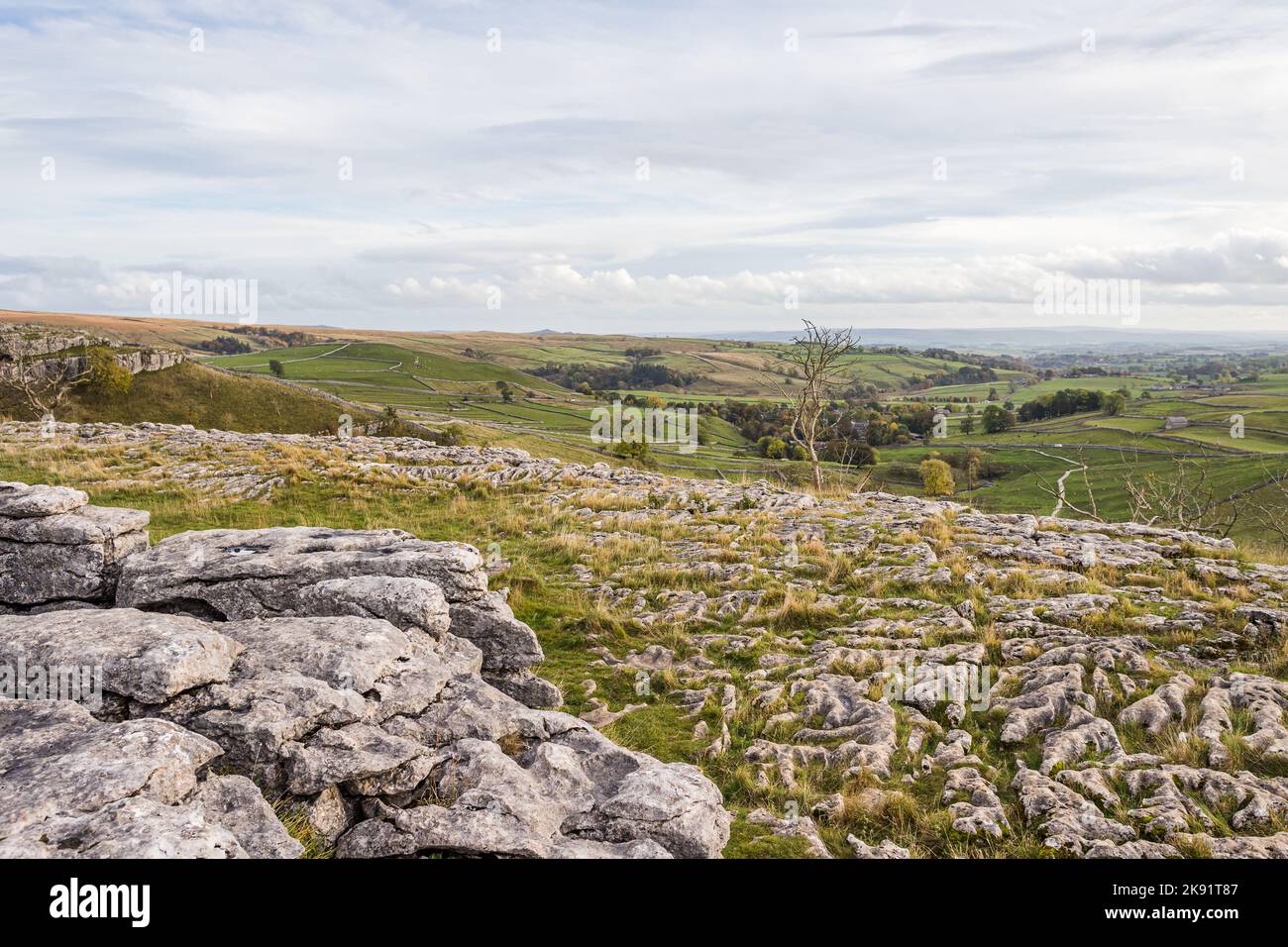 Lone trees and the rugged limestone landscape at Malham Cove in the ...