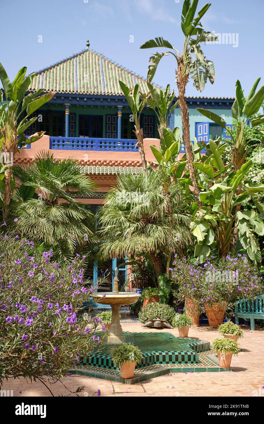 Majorelle Garden Yve Saint Laurent Pierre Berge Bergé  Marrakech Morocco Stock Photo