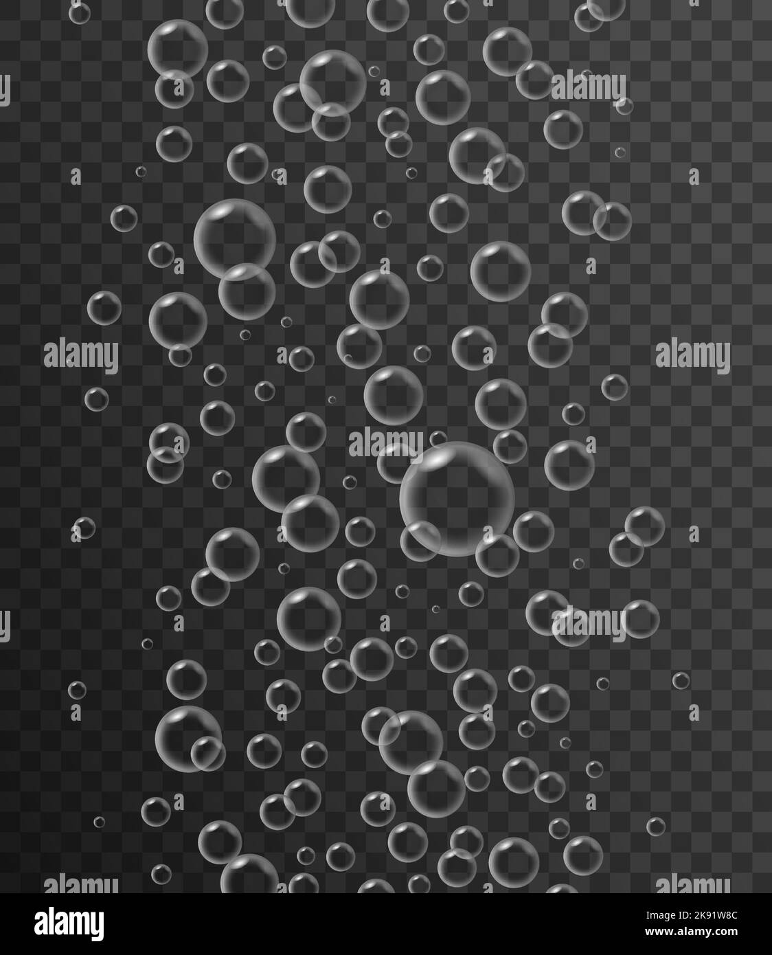 Bubble fizz water vector champagne soda sparkle underwater bubbles ...