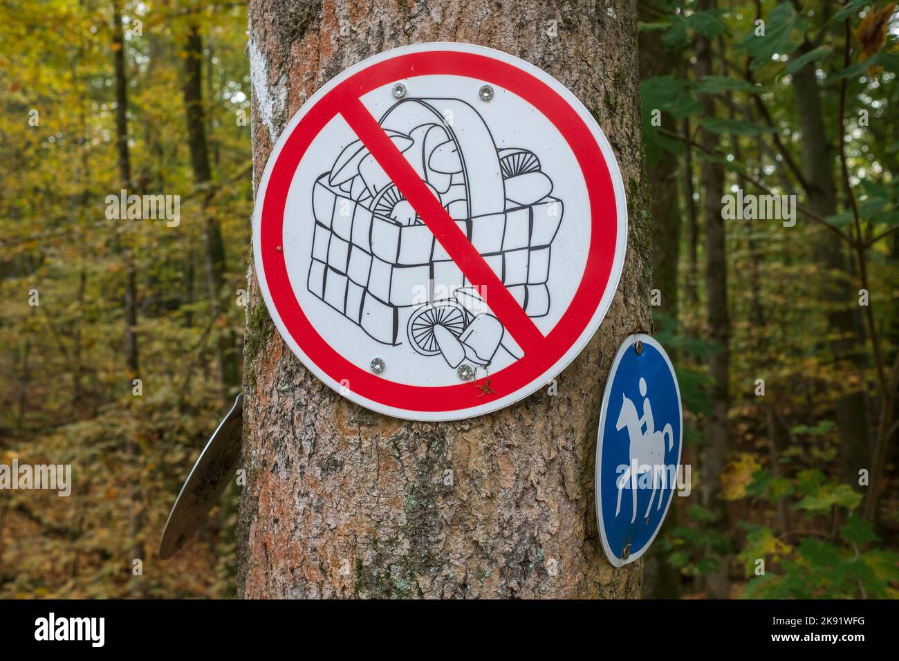 Sign prohibiting mushroom picking in the Koenigsforst nature reserve Stock Photo