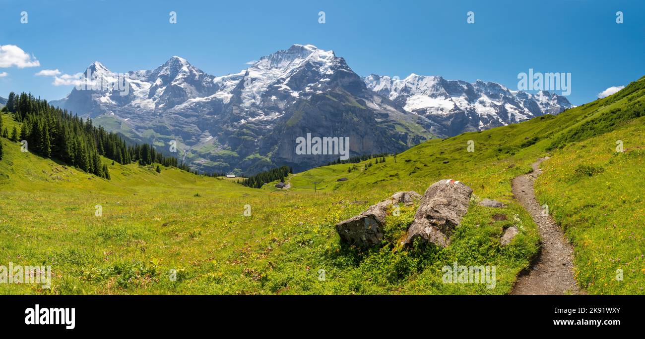 The panorma of Bernese alps with the Monch, Eiger and Jungfrau and too Gletscherhorn, Ebenfluh, Mittaghorn  Grosshorn peaks over the alps meadows from Stock Photo
