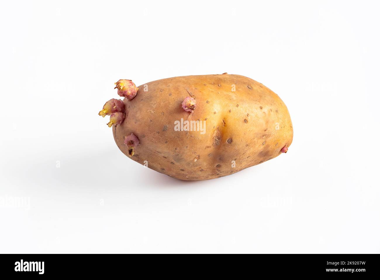Vegetable food potato potato sprout hires stock photography and images